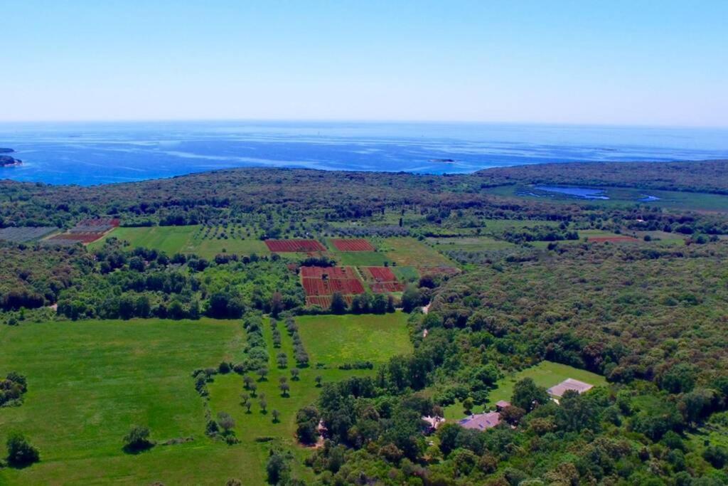 Villa Birds House Ρόβινι Εξωτερικό φωτογραφία