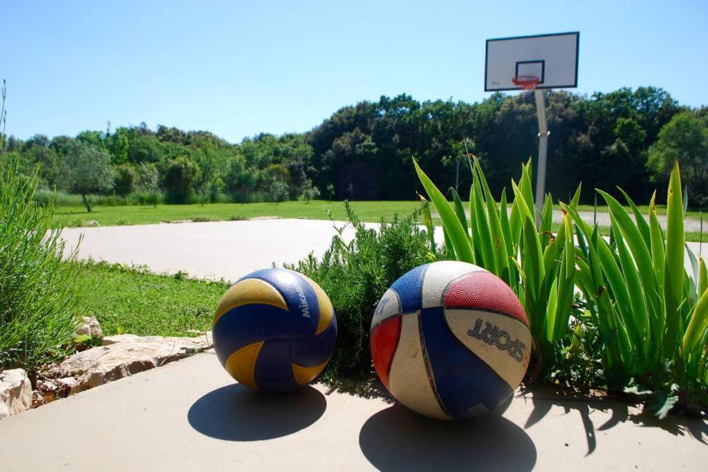 Villa Birds House Ρόβινι Εξωτερικό φωτογραφία
