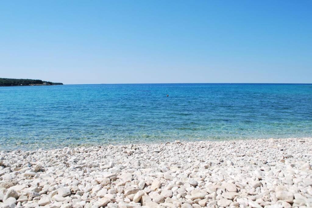 Villa Birds House Ρόβινι Εξωτερικό φωτογραφία