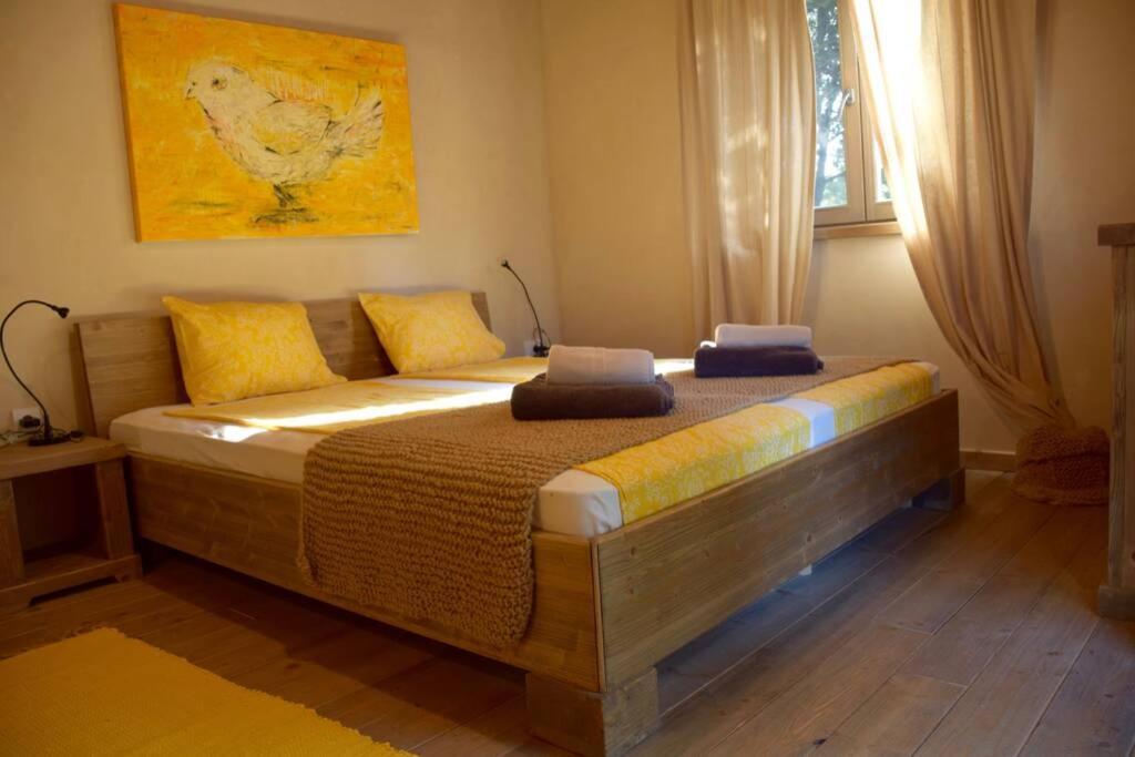 Villa Birds House Ρόβινι Εξωτερικό φωτογραφία